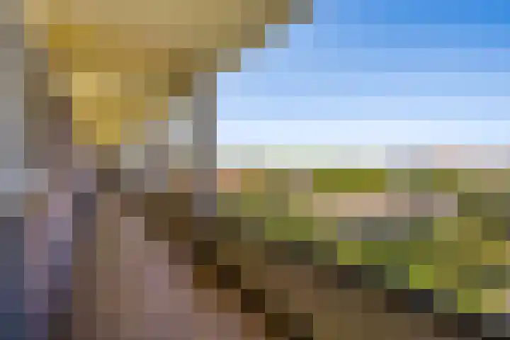 Hart Nibbrigkade 71 66 Den Haag thumbnail 9