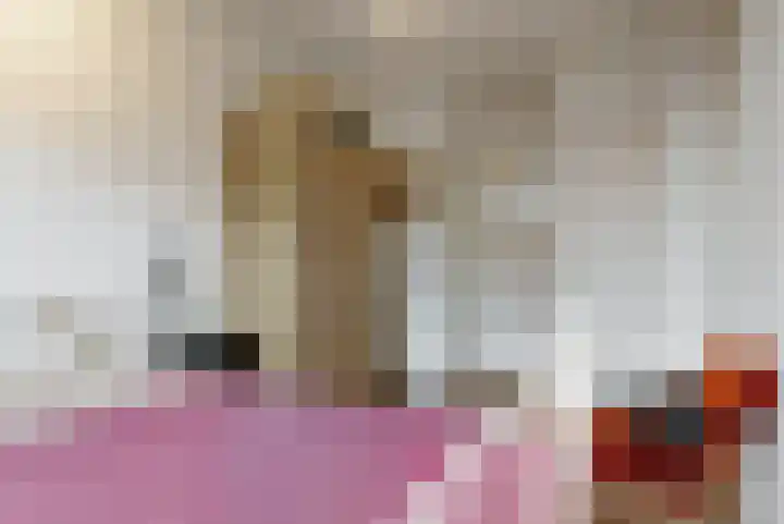 Hart Nibbrigkade 71 73 Den Haag thumbnail 11