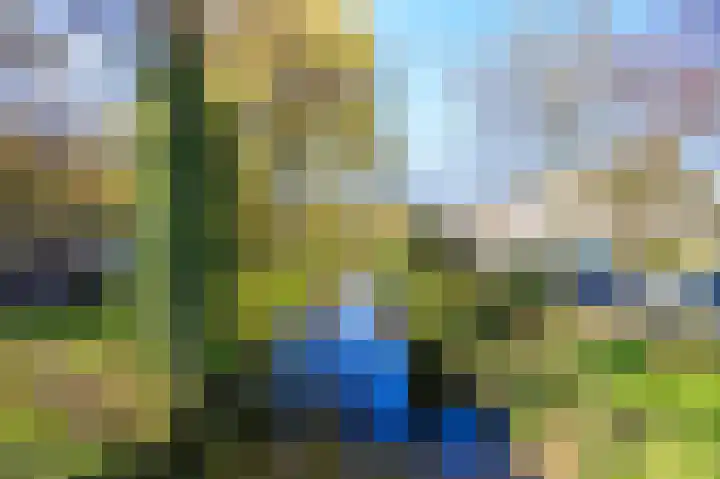 Hart Nibbrigkade 71 73 Den Haag thumbnail 21