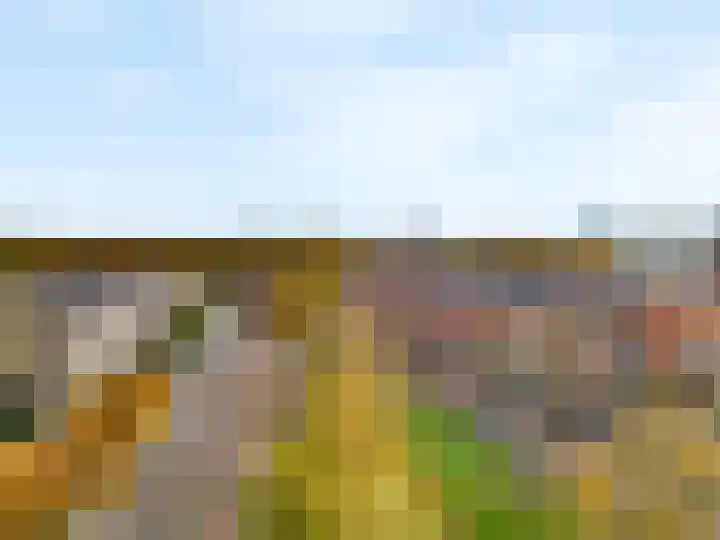 Hart Nibbrigkade 71 73 Den Haag thumbnail 28