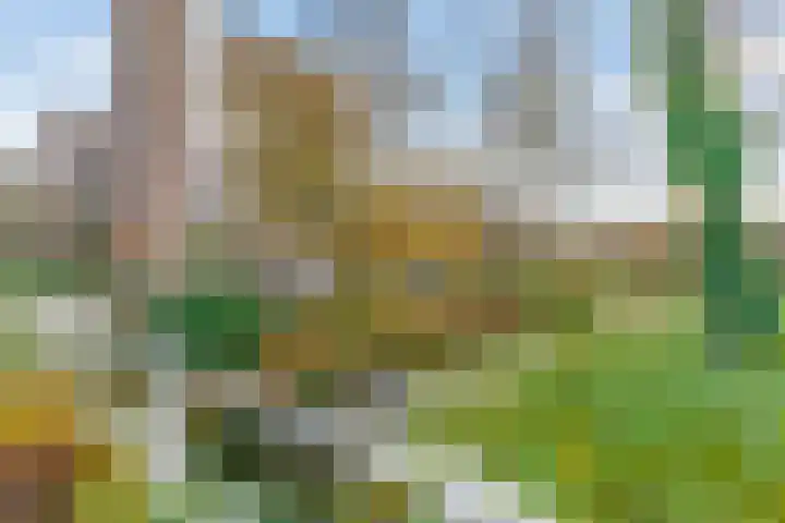 Hart Nibbrigkade 71 73 Den Haag thumbnail 31