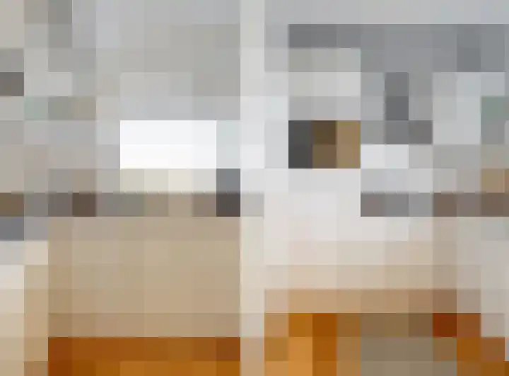 Hart Nibbrigkade 71 73 Den Haag thumbnail 8