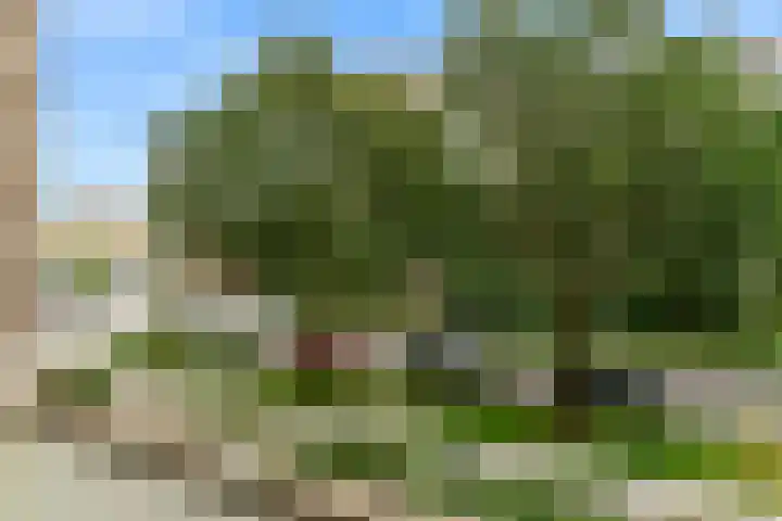 Hart Nibbrigkade 71 75 Den Haag thumbnail 5