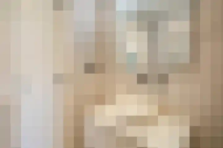 Hart Nibbrigkade 79 Den Haag thumbnail 14