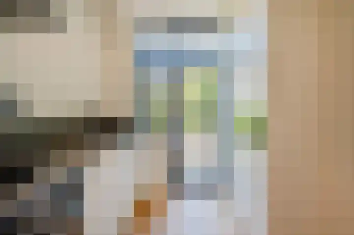Hart Nibbrigkade 79 Den Haag thumbnail 16