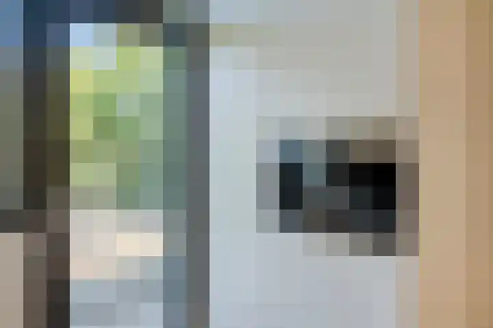 Hart Nibbrigkade 79 Den Haag thumbnail 17