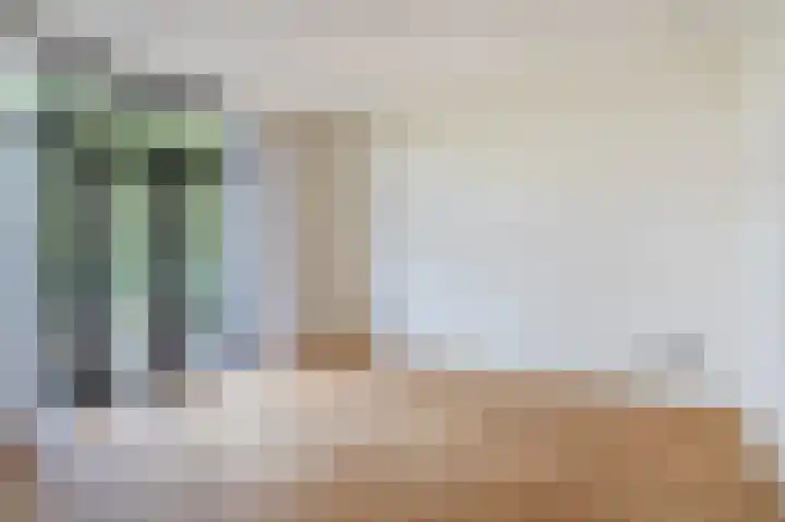 Hart Nibbrigkade 79 Den Haag thumbnail 20