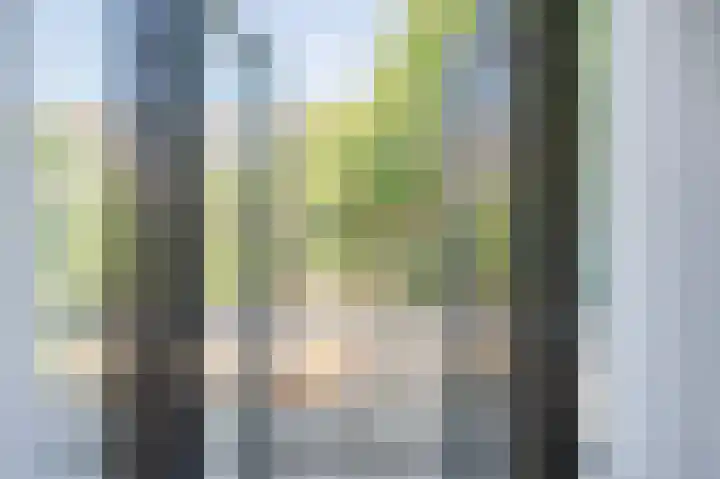 Hart Nibbrigkade 79 Den Haag thumbnail 24