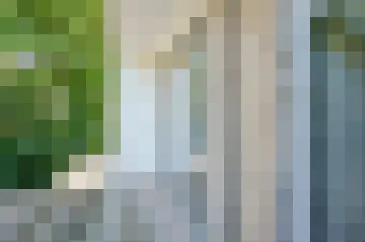 Hart Nibbrigkade 79 Den Haag thumbnail 25