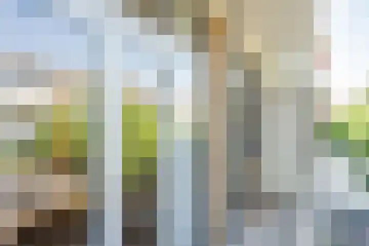 Hart Nibbrigkade 79 Den Haag thumbnail 26