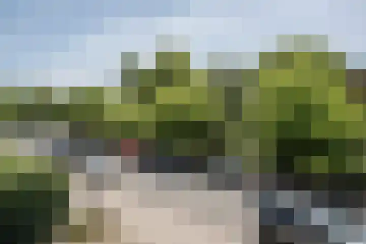 Hart Nibbrigkade 79 Den Haag thumbnail 27