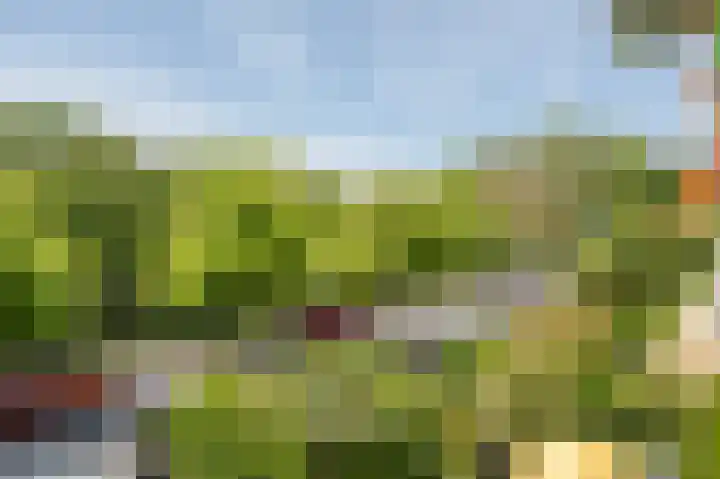 Hart Nibbrigkade 79 Den Haag thumbnail 28