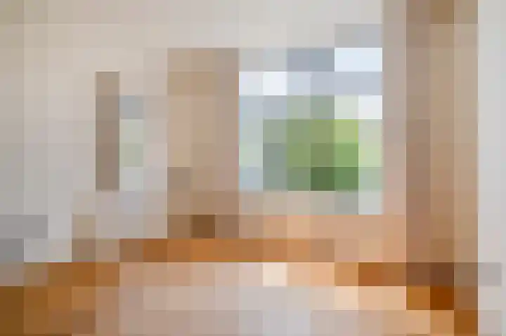 Hart Nibbrigkade 79 Den Haag thumbnail 7