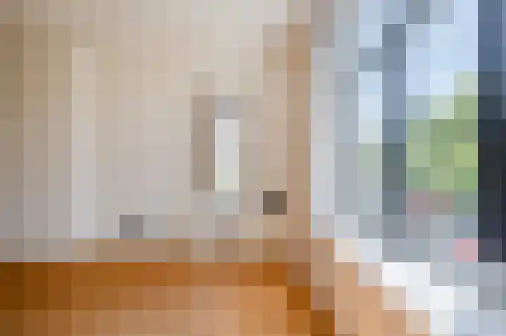 Hart Nibbrigkade 79 Den Haag thumbnail 8