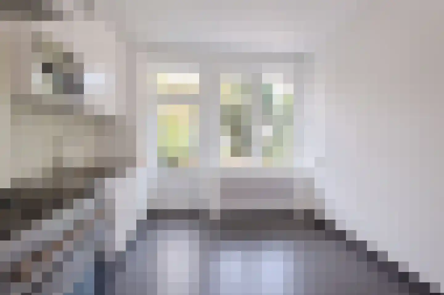 Hart Nibbrigkade 8 Den Haag thumbnail 17