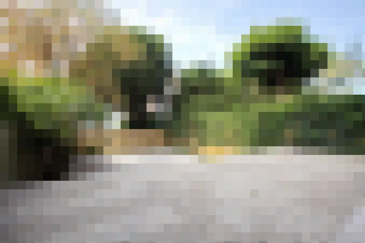 Hart Nibbrigkade 8 Den Haag thumbnail 20