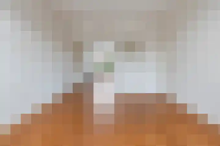 Hart Nibbrigkade 93 Den Haag thumbnail 11