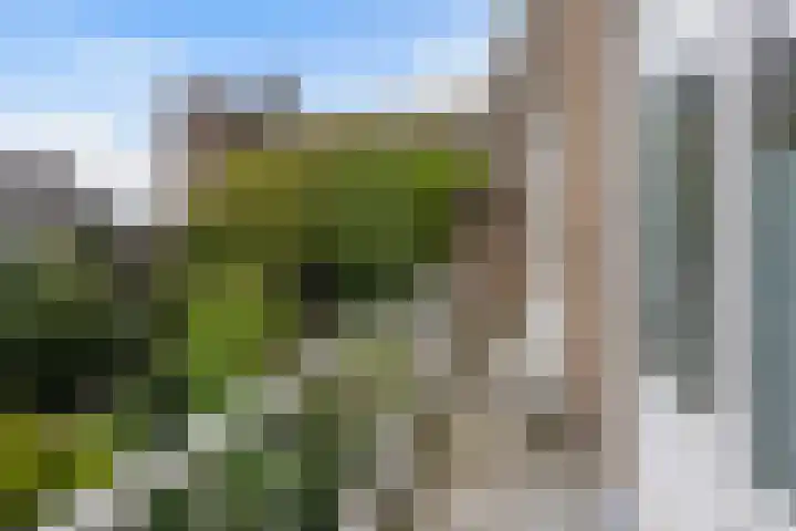 Hart Nibbrigkade 93 Den Haag thumbnail 16