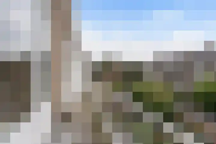 Hart Nibbrigkade 93 Den Haag thumbnail 17