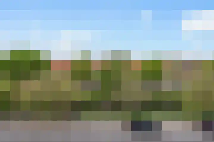 Hart Nibbrigkade 93 Den Haag thumbnail 20