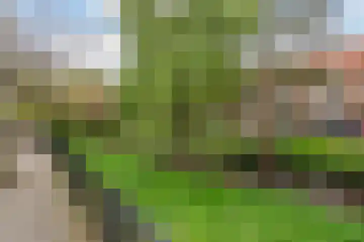 Hart Nibbrigkade 93 Den Haag thumbnail 21