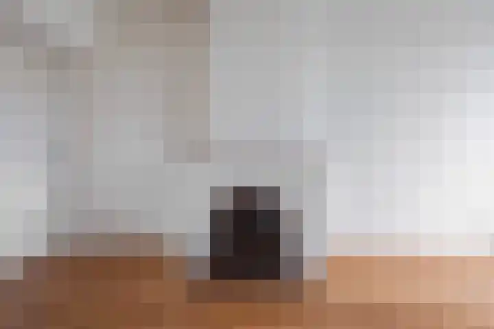 Hart Nibbrigkade 93 Den Haag thumbnail 8