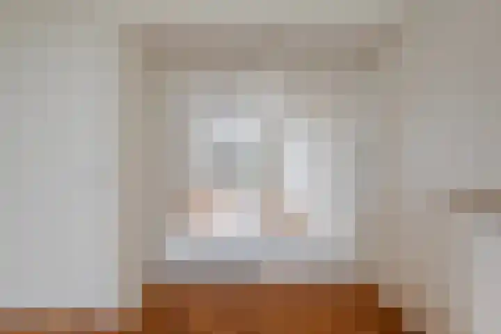 Hart Nibbrigkade 93 Den Haag thumbnail 9