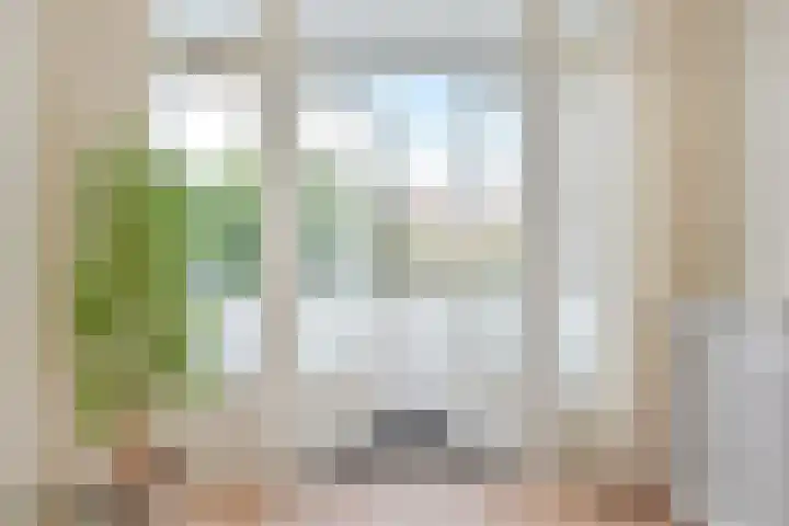 Hart Nibbrigkade 94 Den Haag thumbnail 12
