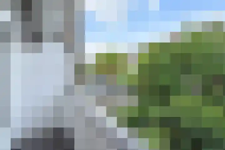 Hart Nibbrigkade 94 Den Haag thumbnail 14