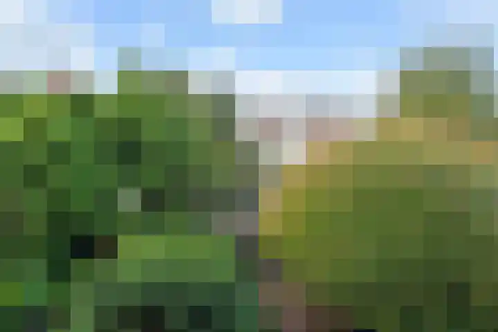 Hart Nibbrigkade 94 Den Haag thumbnail 15