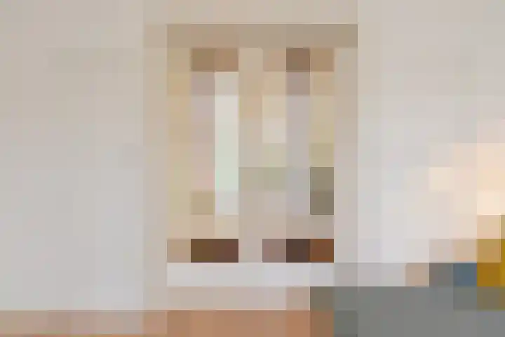 Hart Nibbrigkade 94 Den Haag thumbnail 19