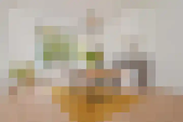 Hart Nibbrigkade 94 Den Haag thumbnail 20