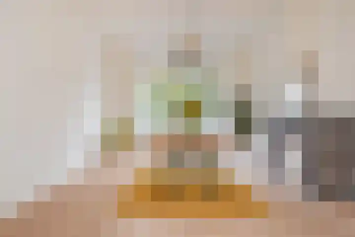 Hart Nibbrigkade 94 Den Haag thumbnail 21