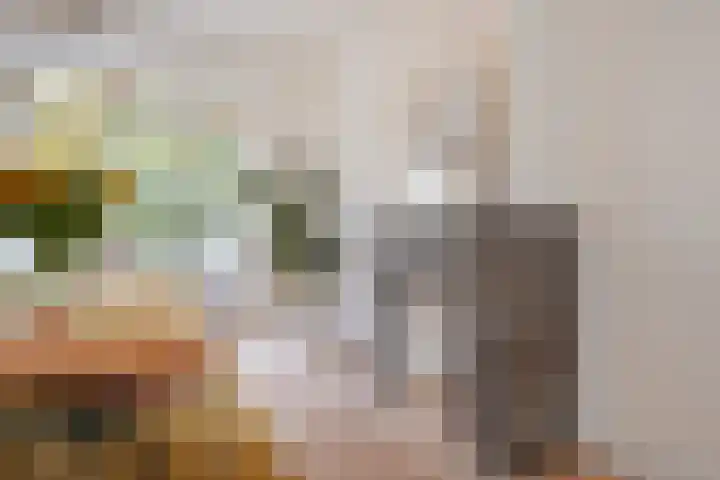 Hart Nibbrigkade 94 Den Haag thumbnail 22