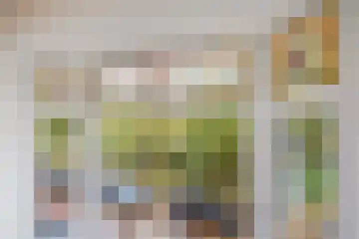 Hart Nibbrigkade 94 Den Haag thumbnail 23