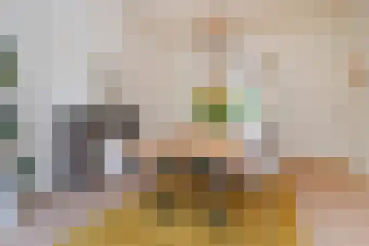 Hart Nibbrigkade 94 Den Haag thumbnail 24