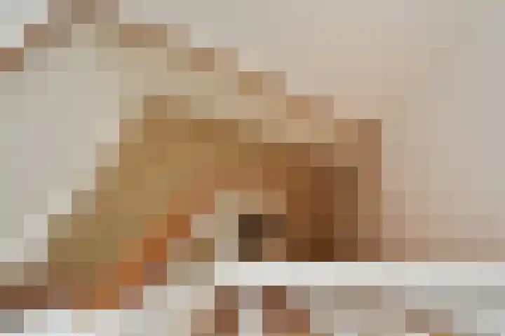 Hart Nibbrigkade 94 Den Haag thumbnail 29