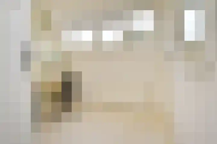 Hart Nibbrigkade 94 Den Haag thumbnail 32