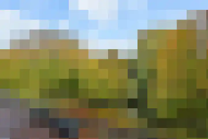 Hart Nibbrigkade 94 Den Haag thumbnail 33
