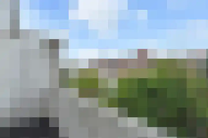 Hart Nibbrigkade 94 Den Haag thumbnail 44