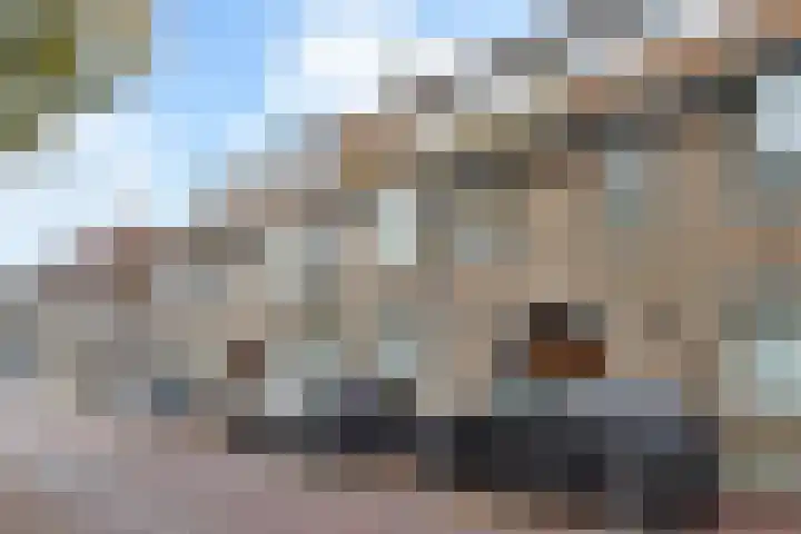 Hart Nibbrigkade 94 Den Haag thumbnail 5