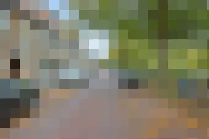 Hart Nibbrigkade 94 Den Haag thumbnail 6