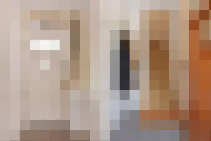 Hart Nibbrigkade 94 Den Haag thumbnail 7