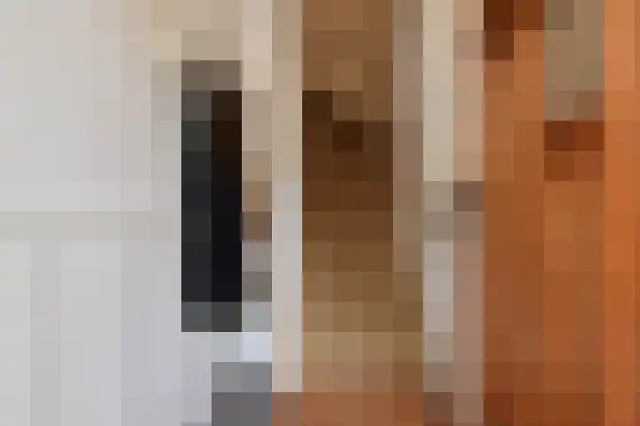 Hart Nibbrigkade 94 Den Haag thumbnail 8