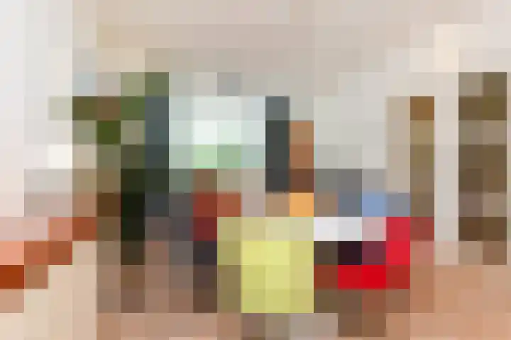 Hart Nibbrigkade 96 Den Haag thumbnail 11
