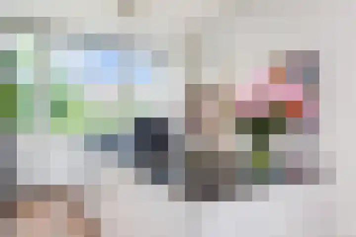 Hart Nibbrigkade 96 Den Haag thumbnail 13