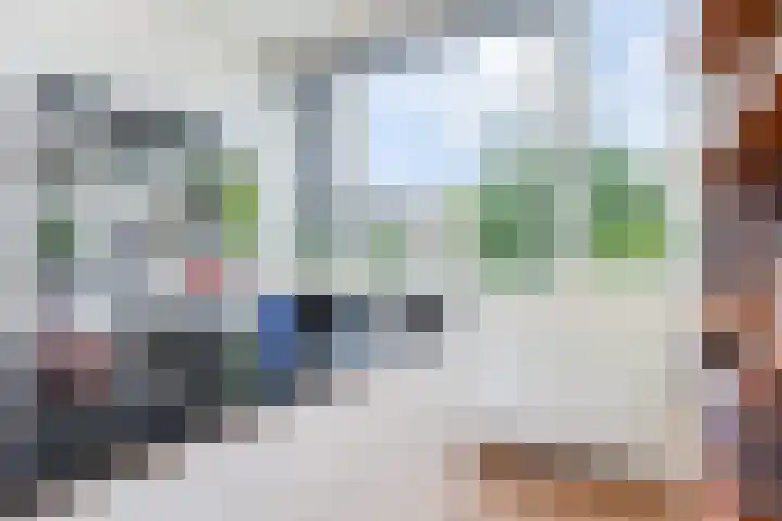 Hart Nibbrigkade 96 Den Haag thumbnail 14
