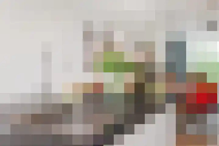 Hart Nibbrigkade 96 Den Haag thumbnail 16