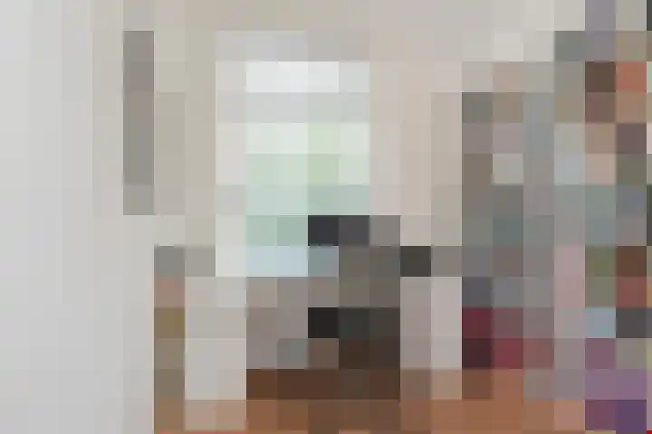 Hart Nibbrigkade 96 Den Haag thumbnail 17