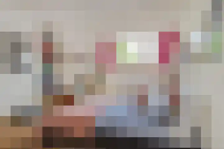 Hart Nibbrigkade 96 Den Haag thumbnail 22